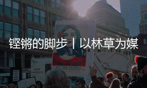 铿锵的脚步丨以林草为媒 山西这样点绿成金-加拿大28